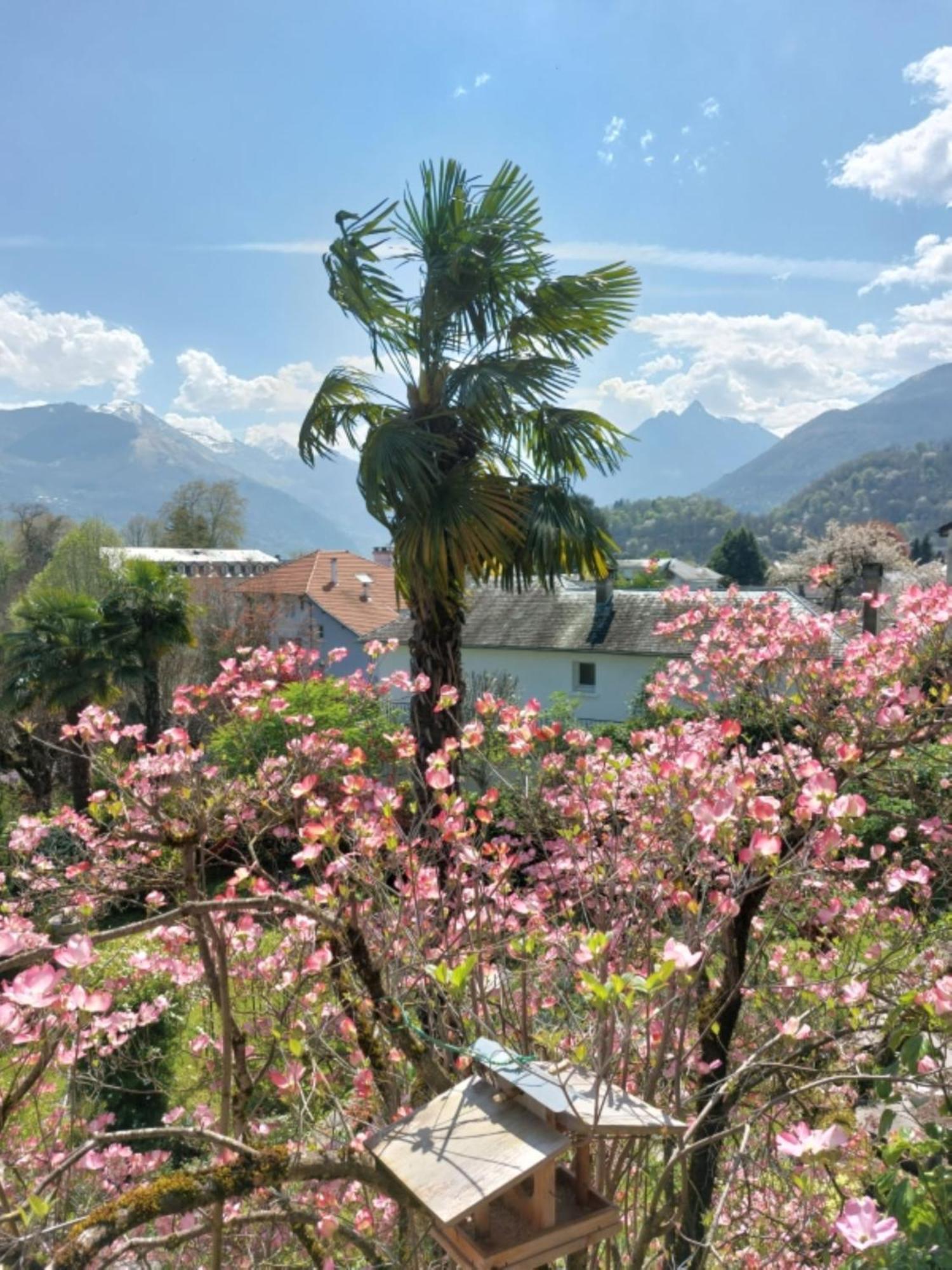 Logis Hotel Beau Site Argelès-Gazost Dış mekan fotoğraf