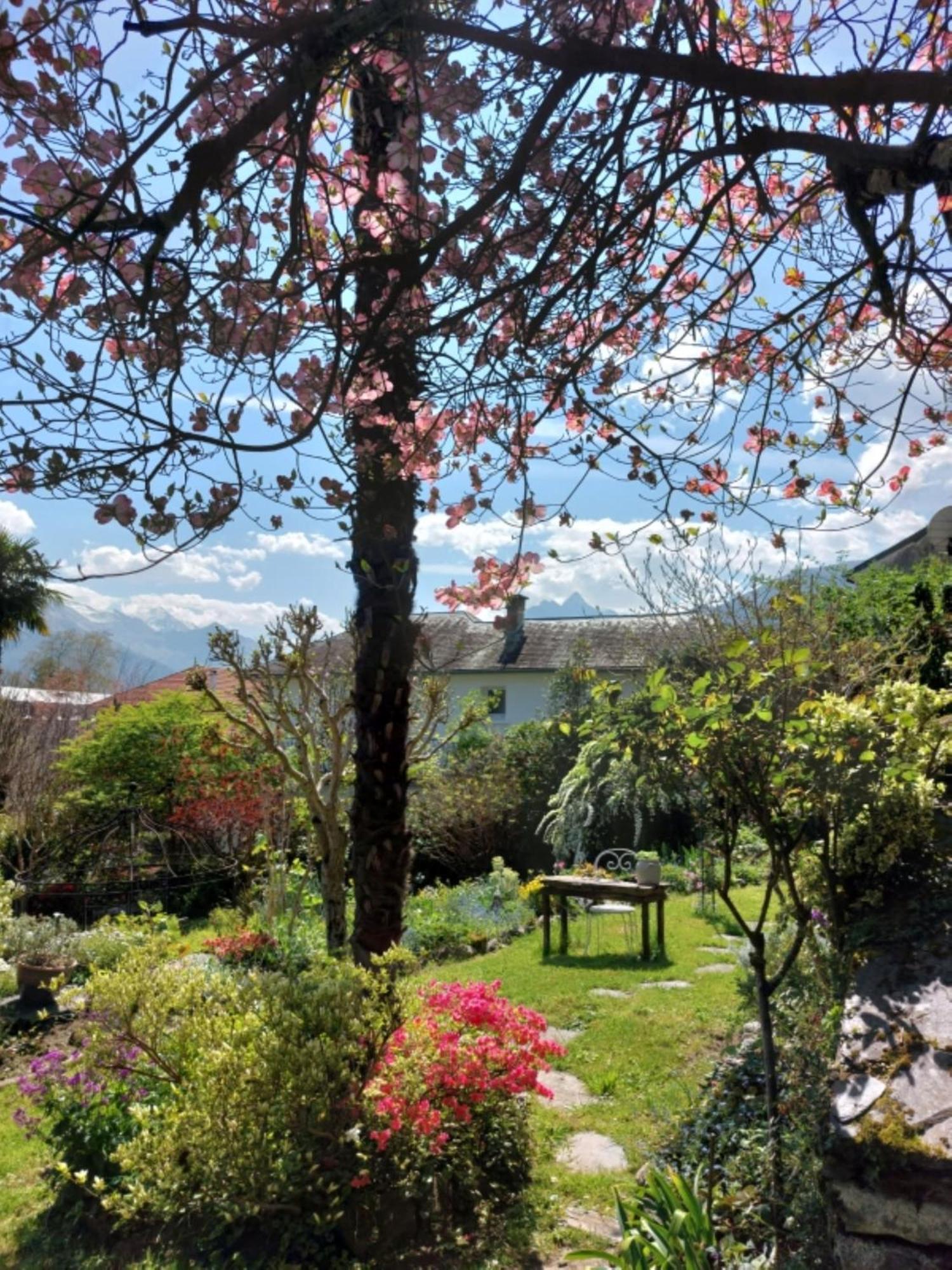 Logis Hotel Beau Site Argelès-Gazost Dış mekan fotoğraf